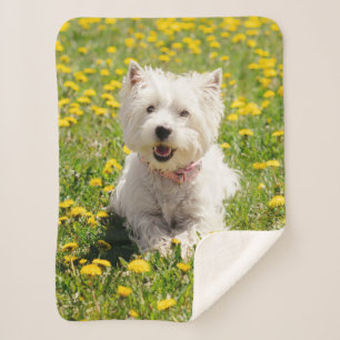 Cutest Baby Animals   Westie Dog in Dandelions Sherpa Blanket
