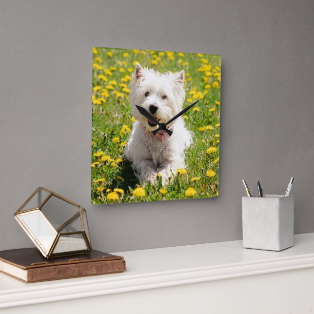 Cutest Baby Animals | Westie Dog in Dandelions Square Wall Clock (Office)