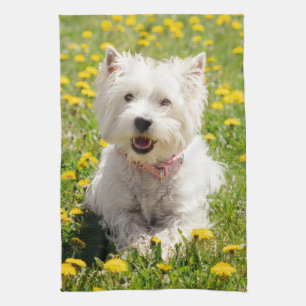 Cutest Baby Animals   Westie Dog in Dandelions Tea Towel