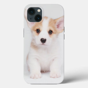 Cutest Baby Animals White Corgi Puppy iPhone 13 Case