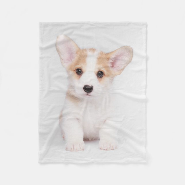 Cutest Baby Animals | White Corgi Puppy Fleece Blanket (Front)