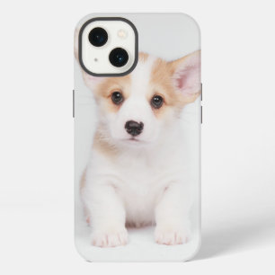 Cutest Baby Animals White Corgi Puppy iPhone 13 Case