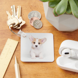 Cutest Baby Animals White Corgi Puppy Key Ring