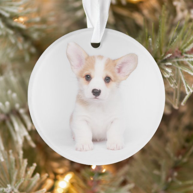 Cutest Baby Animals | White Corgi Puppy Ornament (Tree)