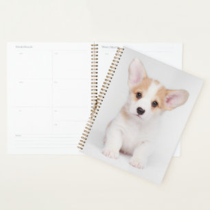 Cutest Baby Animals White Corgi Puppy Planner