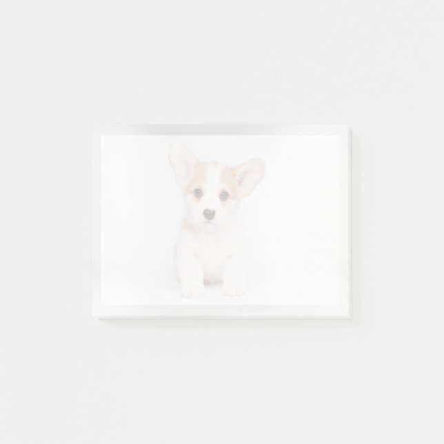 Cutest Baby Animals | White Corgi Puppy Post-it Notes (Front)
