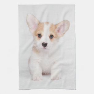 Cutest Baby Animals   White Corgi Puppy Tea Towel