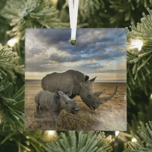 Cutest Baby Animals   White Rhino & Calf Glass Tree Decoration
