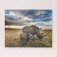 Cutest Baby Animals | White Rhino & Calf