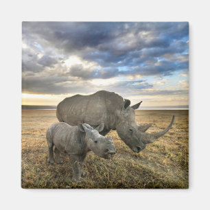 Cutest Baby Animals   White Rhino & Calf Magnet