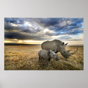 Cutest Baby Animals   White Rhino & Calf Poster