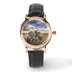 Cutest Baby Animals   White Rhino & Calf Watch