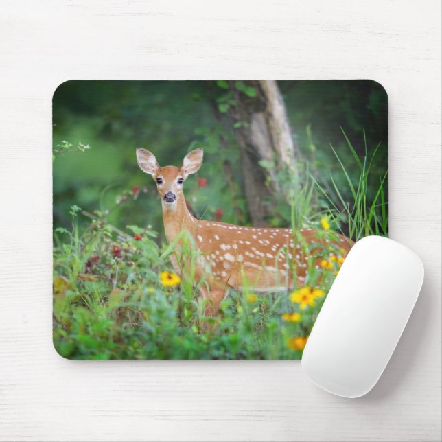 Cutest Baby Animals | White Tailed Deer in Daisies Mouse Mat (With Mouse)