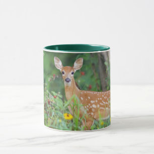 Cutest Baby Animals   White Tailed Deer in Daisies Mug