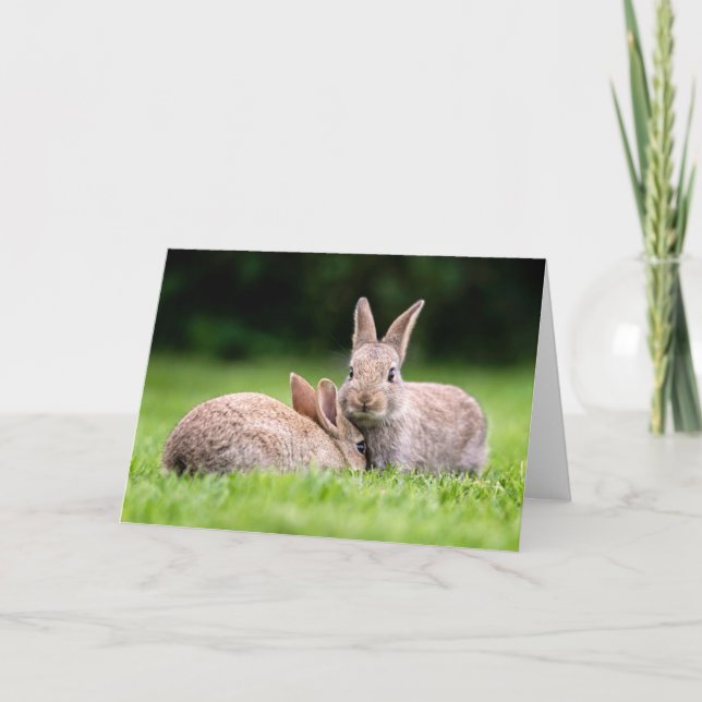 Cutest Baby Animals | Wild Bunny Rabbits Card (Front)