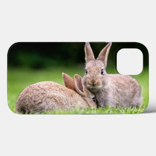 Cutest Baby Animals Wild Bunny Rabbits iPhone 13 Case