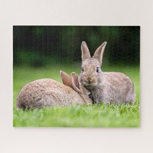 Cutest Baby Animals | Wild Bunny Rabbits Jigsaw Puzzle (Horizontal)
