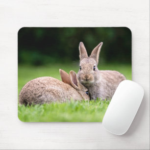 Cutest Baby Animals   Wild Bunny Rabbits Mouse Mat