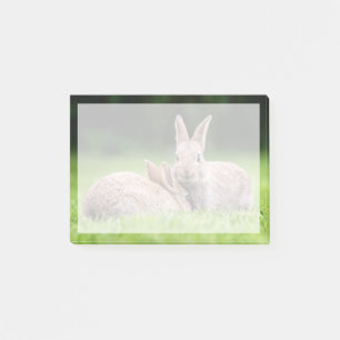 Cutest Baby Animals Wild Bunny Rabbits Post-it Notes