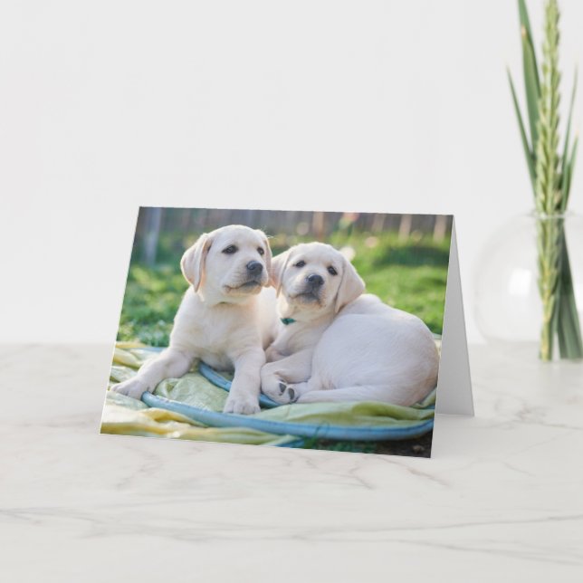 Cutest Baby Animals | Yellow Labrador Retrievers Card (Front)