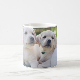 Cutest Baby Animals   Yellow Labrador Retrievers Coffee Mug