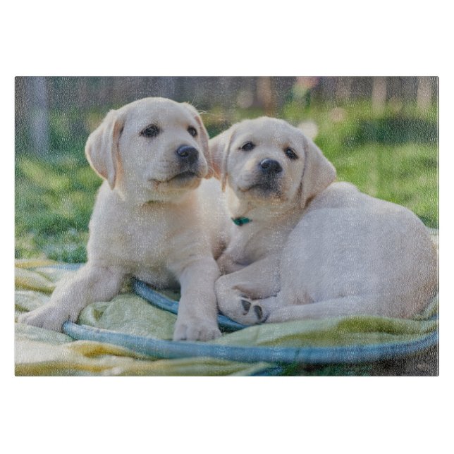 Cutest Baby Animals | Yellow Labrador Retrievers Cutting Board (Front)