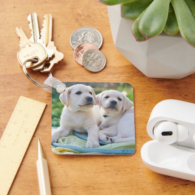 Cutest Baby Animals | Yellow Labrador Retrievers Key Ring (Desk)