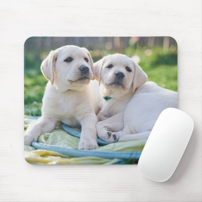 Cutest Baby Animals | Yellow Labrador Retrievers Mouse Mat (With Mouse)