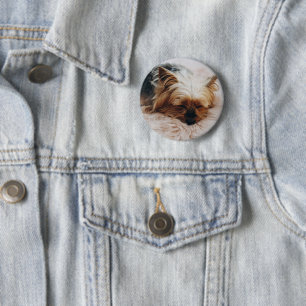 Cutest Baby Animals Yorkshire Terrier 6 Cm Round Badge
