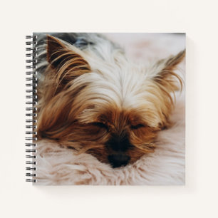 Cutest Baby Animals   Yorkshire Terrier Notebook