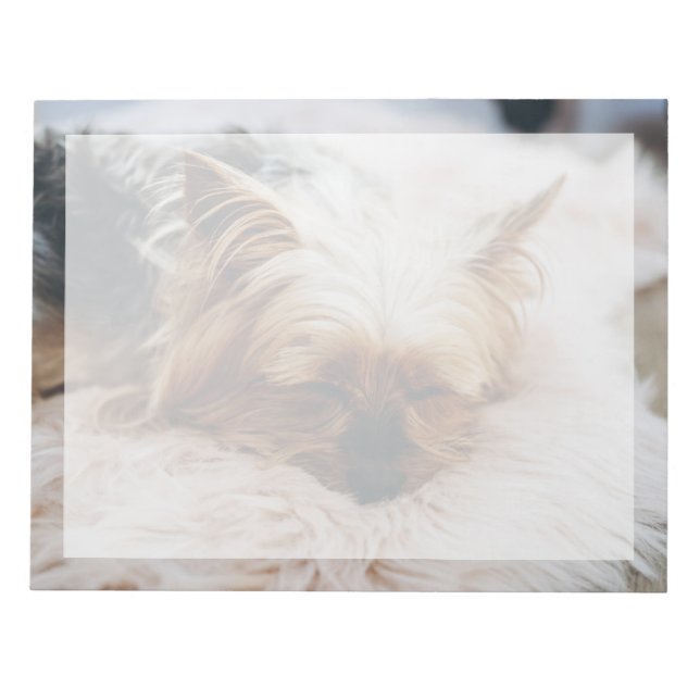 Cutest Baby Animals | Yorkshire Terrier Notepad (Front)