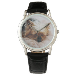 Cutest Baby Animals Yorkshire Terrier Watch