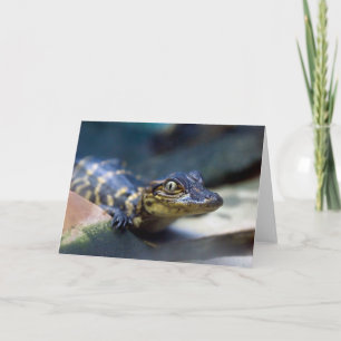 Cutest Baby Animals Young Alligator Card