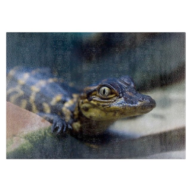 Cutest Baby Animals | Young Alligator Cutting Board (Front)