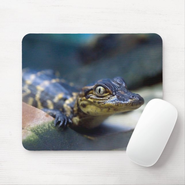 Cutest Baby Animals | Young Alligator Mouse Mat (With Mouse)