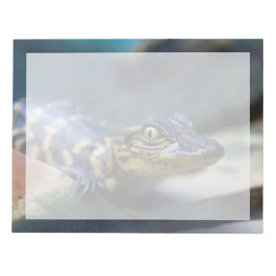 Cutest Baby Animals Young Alligator Notepad
