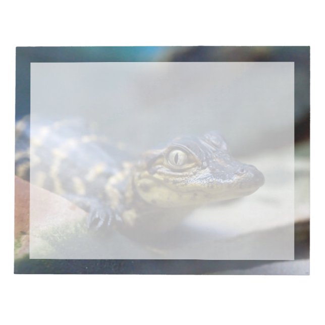 Cutest Baby Animals | Young Alligator Notepad (Front)