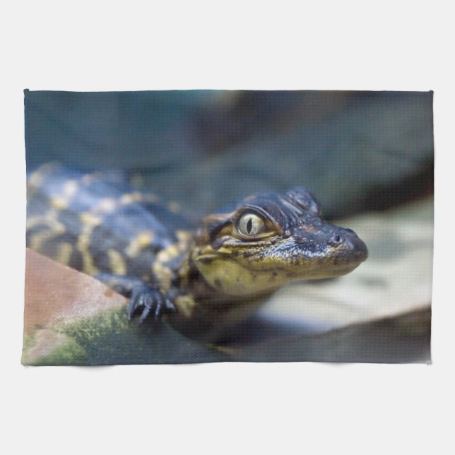 Cutest Baby Animals | Young Alligator Tea Towel (Horizontal)