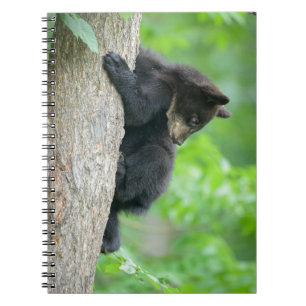 Cutest Baby Animals   Young Black Bear Cub Notebook