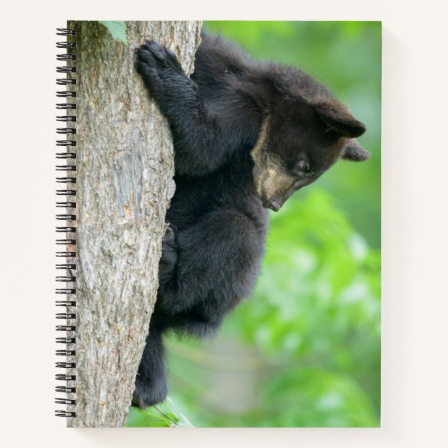 Cutest Baby Animals | Young Black Bear Cub Notebook (Front)