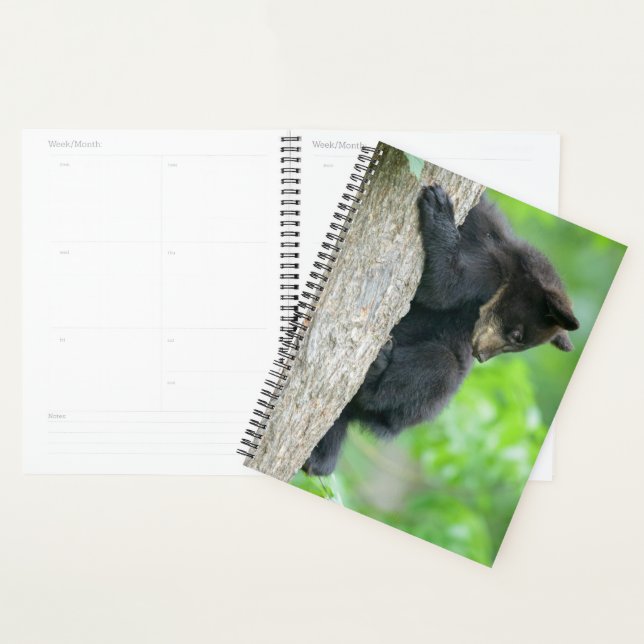 Cutest Baby Animals | Young Black Bear Cub Planner (Display)