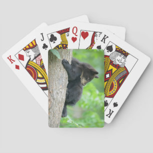 Cutest Baby Animals Young Black Bear Cub Playing Cards