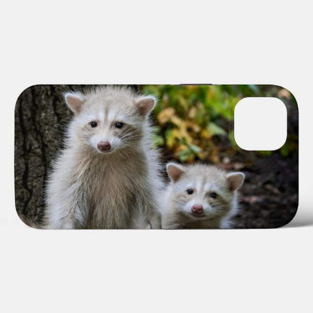 Cutest Baby Animals | Young Blonde Raccoons Case-Mate iPhone Case (Back (Horizontal))