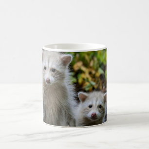 Cutest Baby Animals   Young Blonde Raccoons Coffee Mug