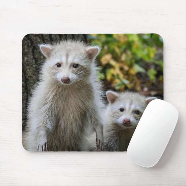 Cutest Baby Animals | Young Blonde Raccoons Mouse Mat (With Mouse)