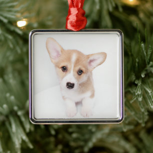 Cutest Baby Animals Young Corgi Puppy Metal Tree Decoration