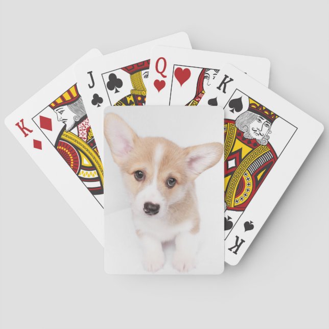 Cutest Baby Animals | Young Corgi Puppy Playing Cards (Back)