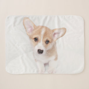 Cutest Baby Animals Young Corgi Puppy Sherpa Blanket
