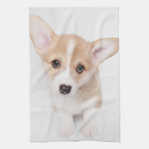 Cutest Baby Animals Young Corgi Puppy Tea Towel