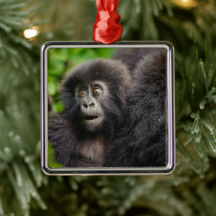 Cutest Baby Animals Young Mountain Gorilla Metal Tree Decoration